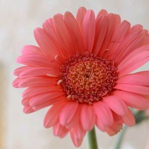 Meet your Posher, June